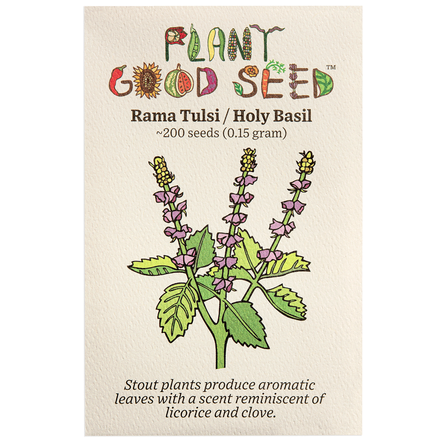 Pant Good Seeds Rama Tulsi/Holy Basil