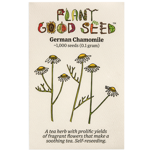 Plant Good Seed Chamomile