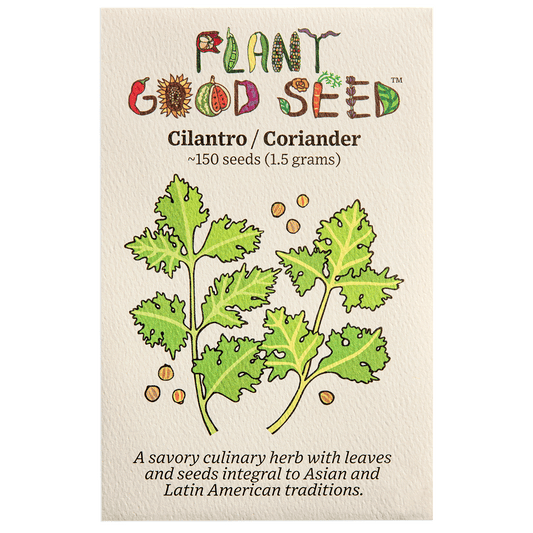 Plant Good Seed Cilantro