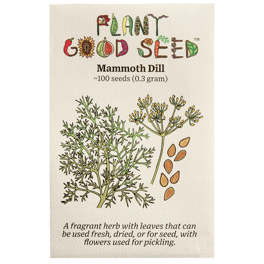Plant Good Seed Mammoth Dill