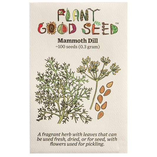 Plant Good Seed Mammoth Dill