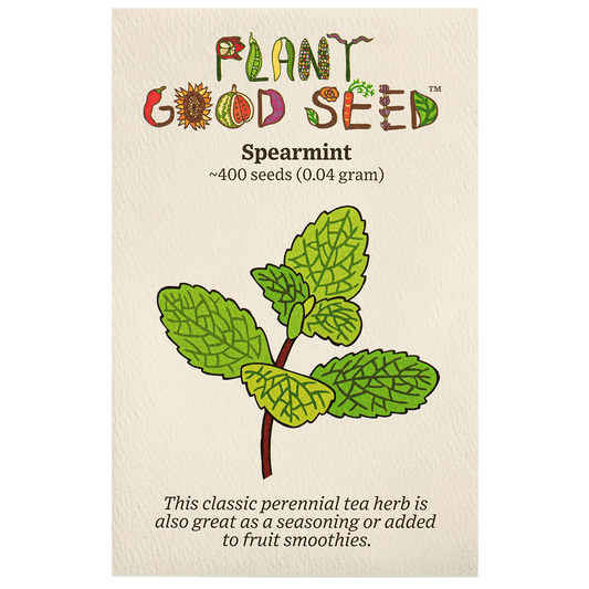 Plant Good Seed Spearmint