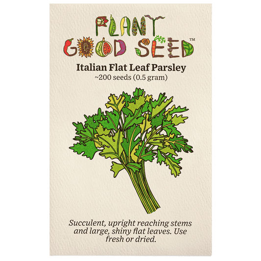 Plant Good Seed Fear Leaf Italian Parsley