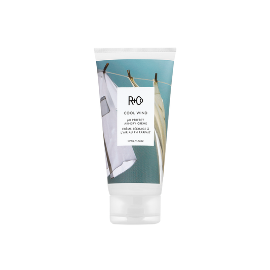 R+Co Cool Wind Perfect Air Dry Creme